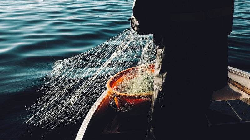 Enlatados del Mar