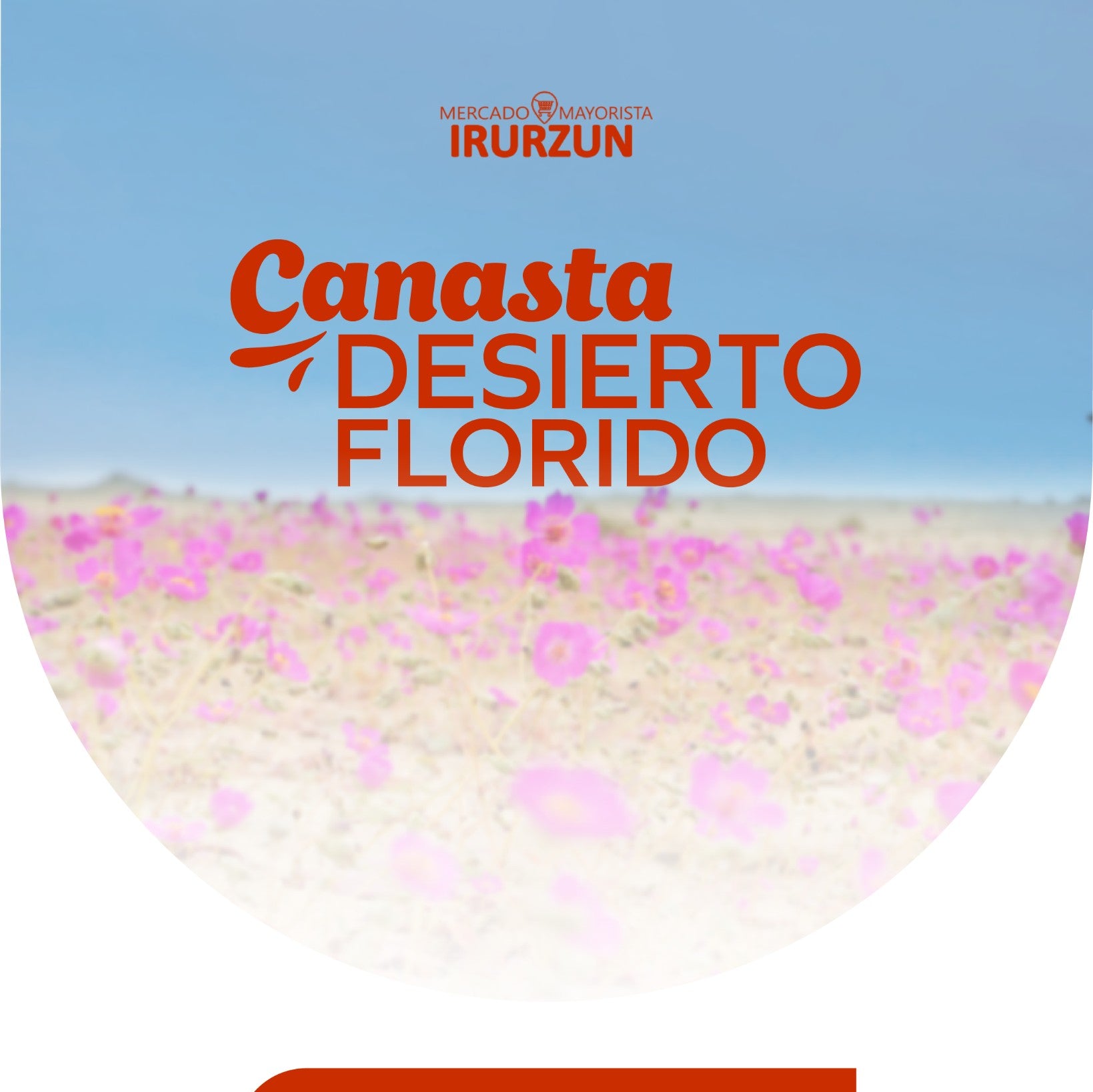 Canasta 18 Septiembre Desierto Florido | Irurzun — Fiestas Patrias